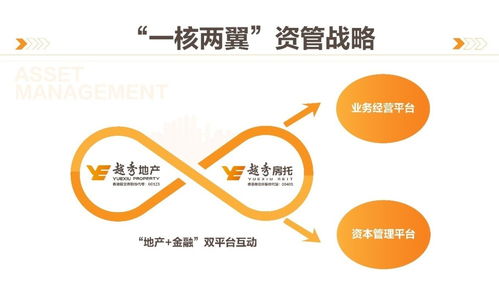 商业综合体管理服务 构建高效运营与卓越体验的桥梁